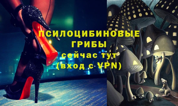 прущая мука Аркадак