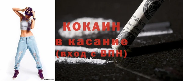 шишки Армянск