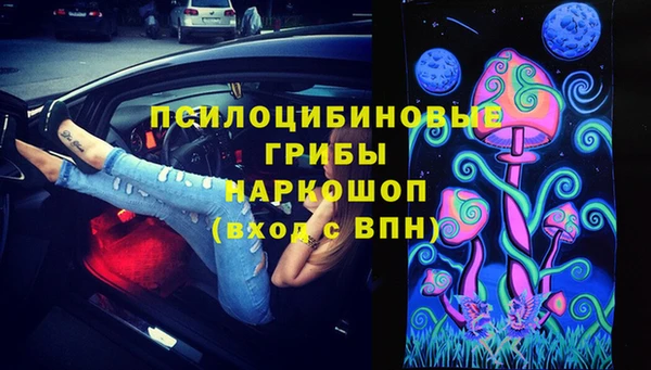 СК Алзамай