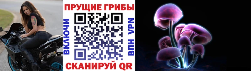 Псилоцибиновые грибы прущие грибы  хочу наркоту  Белозерск 